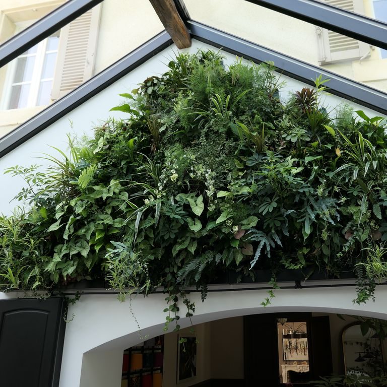 Création de murs végétalisés à Dijon. Vivants et autonomes : faites entrer la nature
